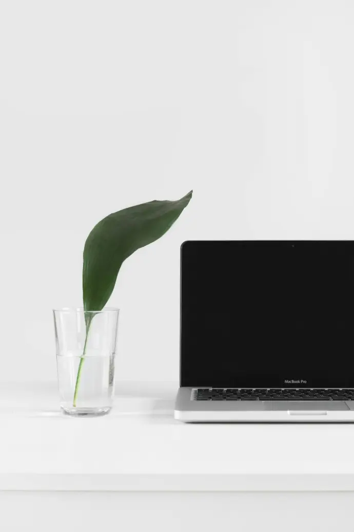 Ordinateur ouvert et posé sur une table blanche à côté d'une plante